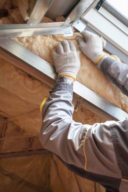 Best Insulation Maintenance and Repair in Taylorsville, MS