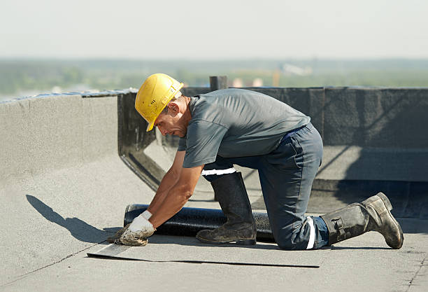 Best DIY Insulation Kits and Guidance in Taylorsville, MS