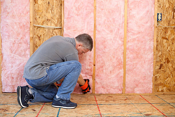 Best Residential Insulation in Taylorsville, MS