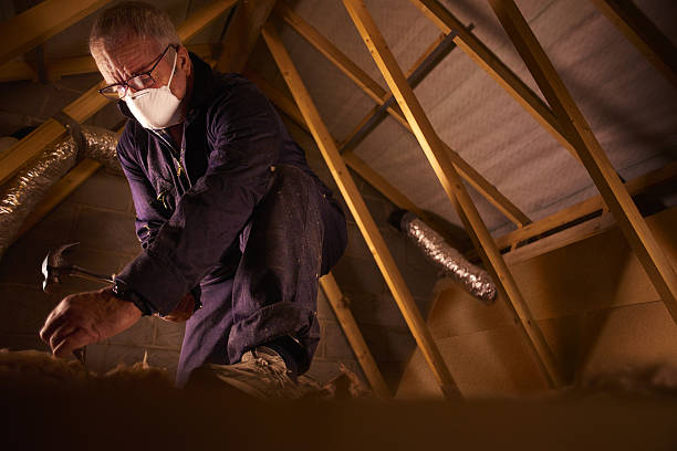 Best Specialized Insulation Services in Taylorsville, MS