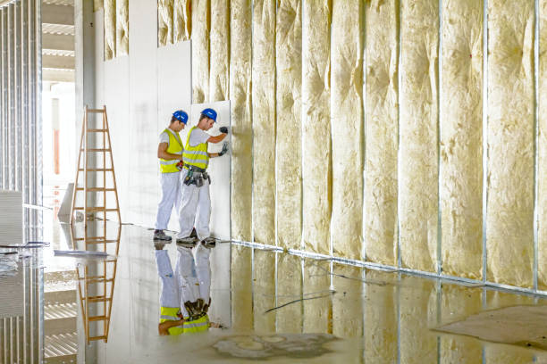 Best Blown-in Insulation in Taylorsville, MS